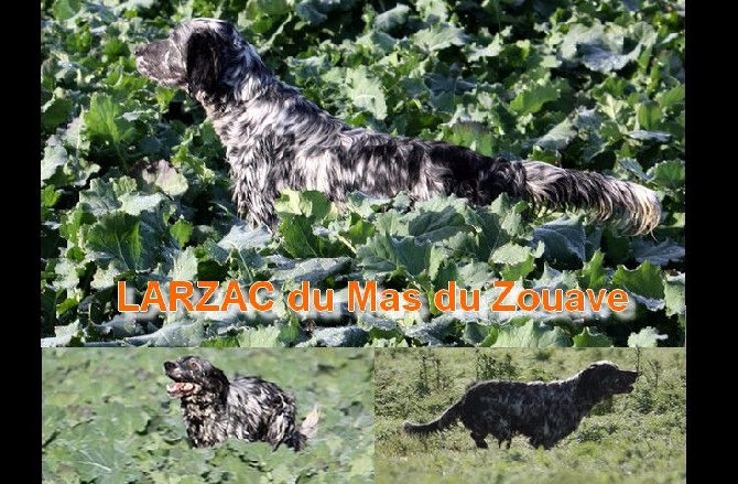 du mas du zouave - LARZAC