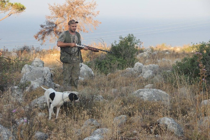 du mas du zouave - VIDEO IKEA chasse cailles  montagne Liban