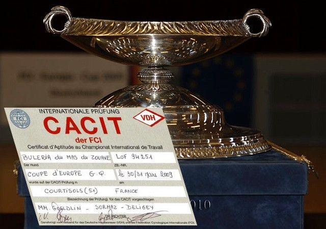 du mas du zouave -  Coupe et championnats d'Europe de GQ en Grèce
