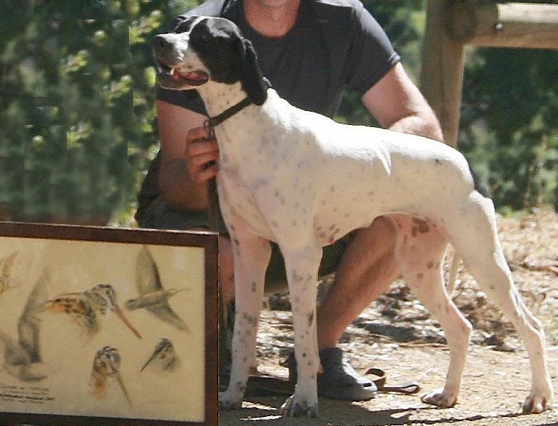 Heden du mas du zouave