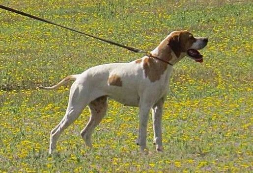 J'm du mas du zouave