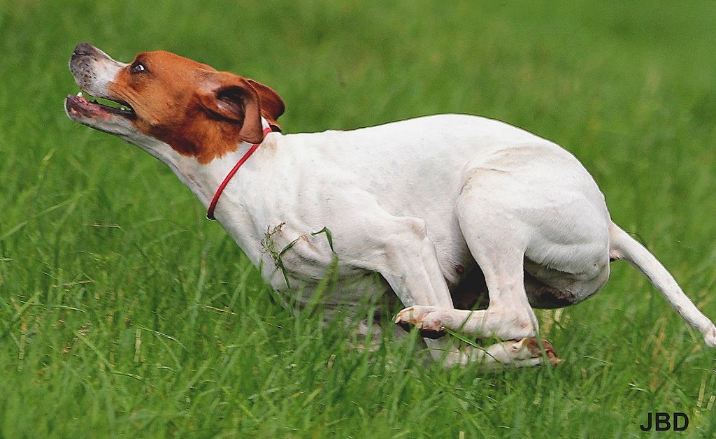 Image du mas du zouave