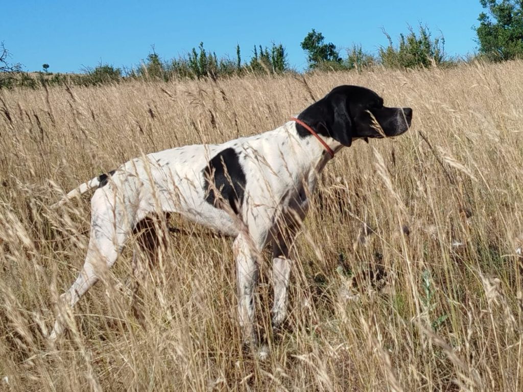 Tequila du mas du zouave