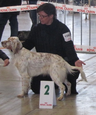 du mas du zouave - SPECIALE SETTER BEZIERS