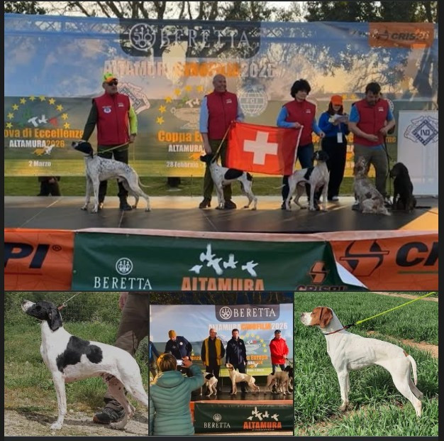 du mas du zouave - Championnats d'Europe et Coupe d'Europe GQ 2026