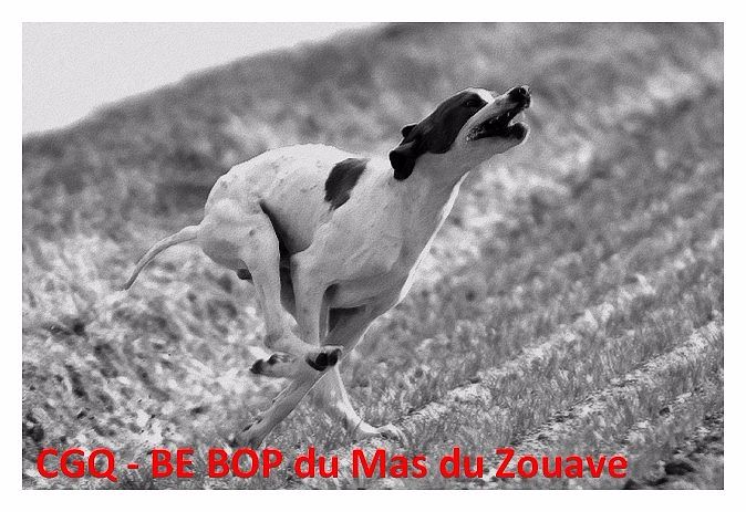 du mas du zouave - Dans les starting block