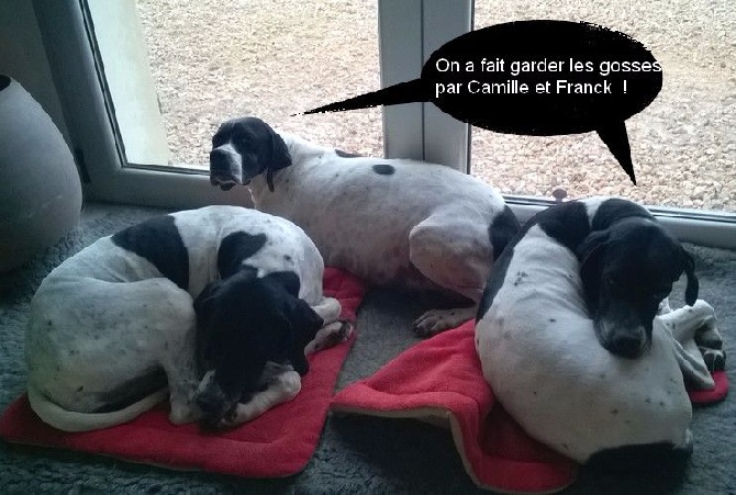 du mas du zouave - Les gosses en Serbie !