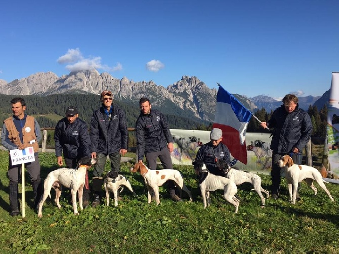 du mas du zouave - INA sous les drapeaux !