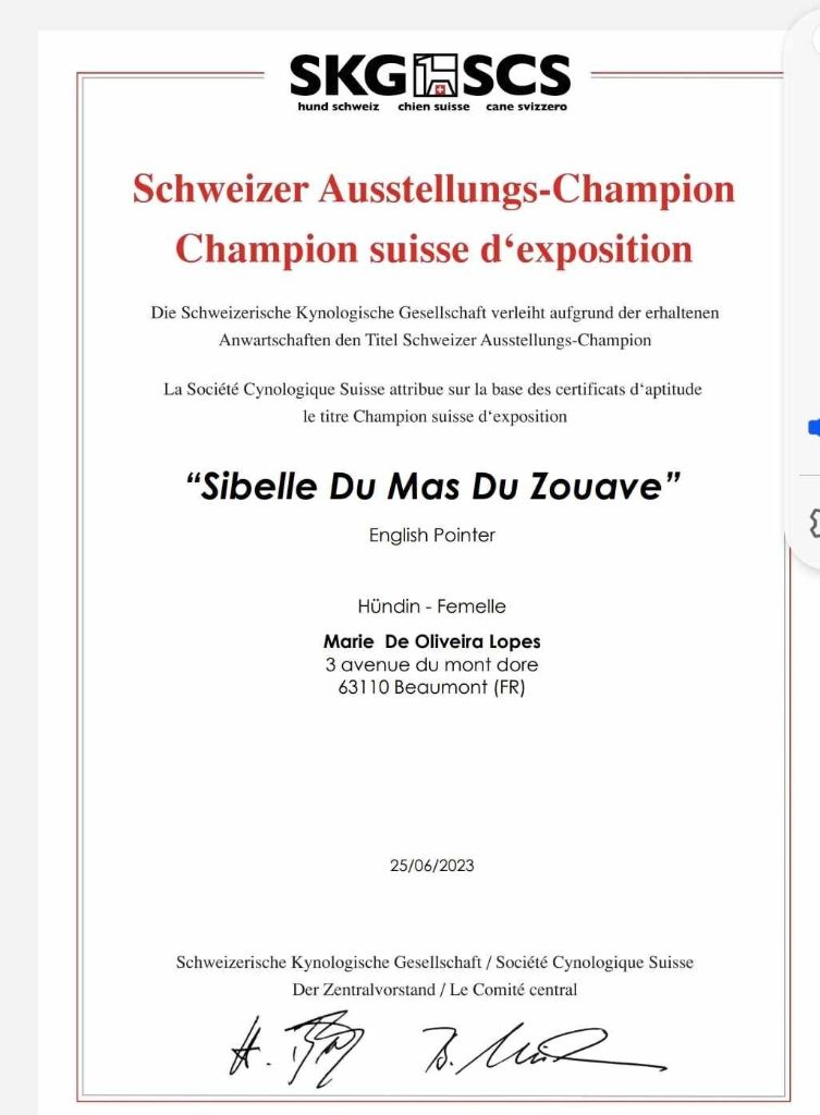 du mas du zouave - SIBELLE Championne