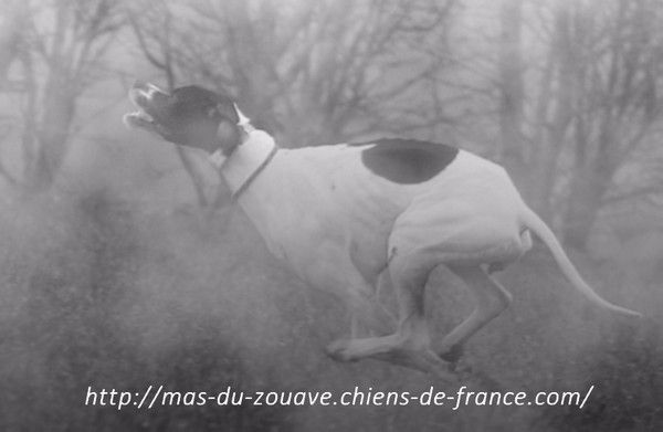 du mas du zouave - GRAZIE Suite