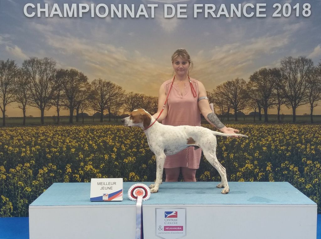 du mas du zouave - NASTASE Champion de France