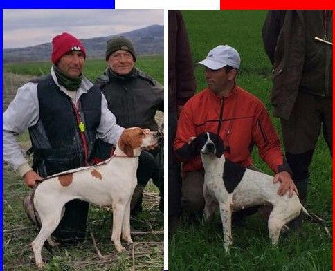 du mas du zouave - Equipe de France GQ Pointer